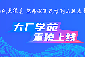 大厂学苑svip十门合集|2021|完结无密|百度网盘
