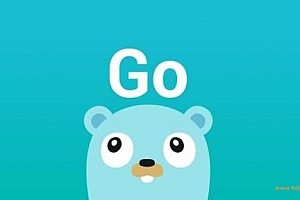 GO中文网-《资深Go开发工程师》第二期|完结无密|网盘分享