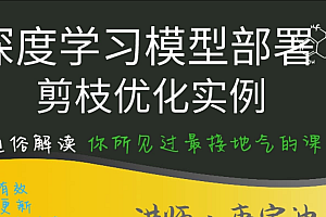 深度学习模型部署与剪枝优化实例(完结无密)