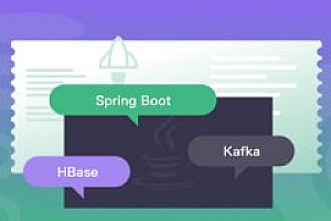 Java分布式后台开发 Spring Boot+Kafka+HBase