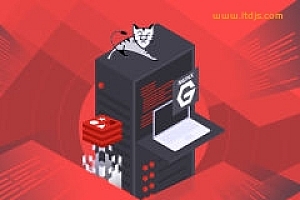 Java企业级电商项目架构 Tomcat集群与Redis分布式