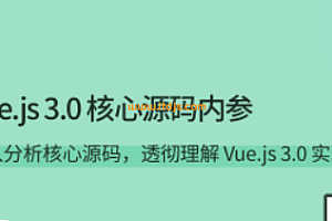 拉勾-Vue.js 3.0 核心源码内参
