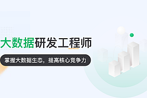 NX-P6大数据研发工程师13期