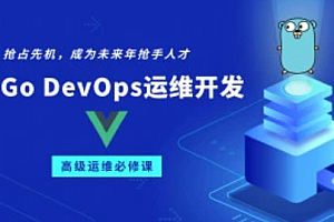 阿良-Go/Golang DevOps运维开发实战集训营2022.06最新完结