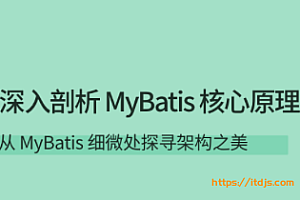 拉勾 深入剖析MyBatis核心原理
