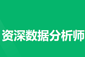 NX P6资深数据分析师