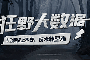 HM狂野大数据二期