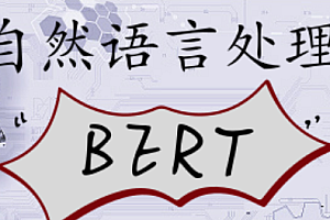 Python自然语言处理-BERT实战