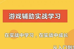 游戏安全与辅助(初级,中级,驱动)