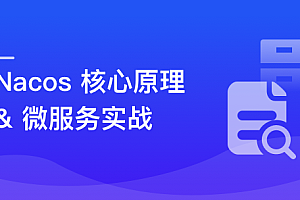 Nacos 核心原理解读+高性能微服务系统实战