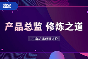 产品总监之道