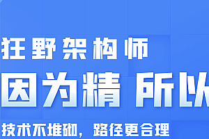 狂野架构师5期