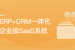 SpringBoot+Vue3打造企业级一体化SaaS系统