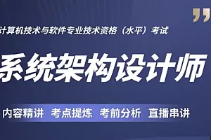 王勇系统架构设计师2024年11月版