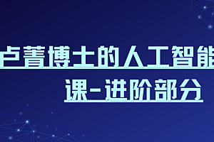 卢菁博士的人工智能体系课-进阶部分
