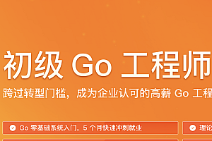 初级Go工程师训练营