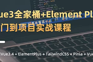 新版Vue3.4+ElementPlus全家桶开发视频项目实战