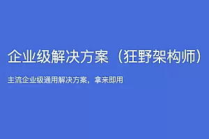 企业级解决方案(狂野架构师)