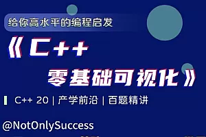 NotOnlySuccess-C++零基础可视化
