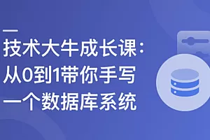 技术大牛成长课,从0到1带你手写一个数据库系统
