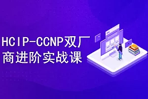 康sir-思科华为双厂商HCIP-CCNP进阶实战课