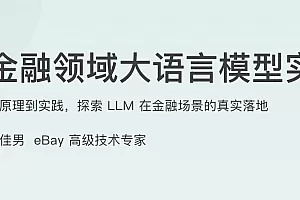 金融领域大语言模型实战