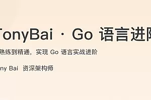 TonyBai · Go语言进阶课