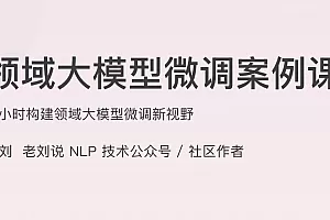 领域大模型微调案例课
