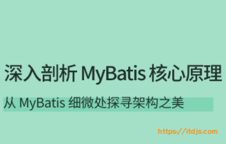 拉勾 深入剖析MyBatis核心原理封面