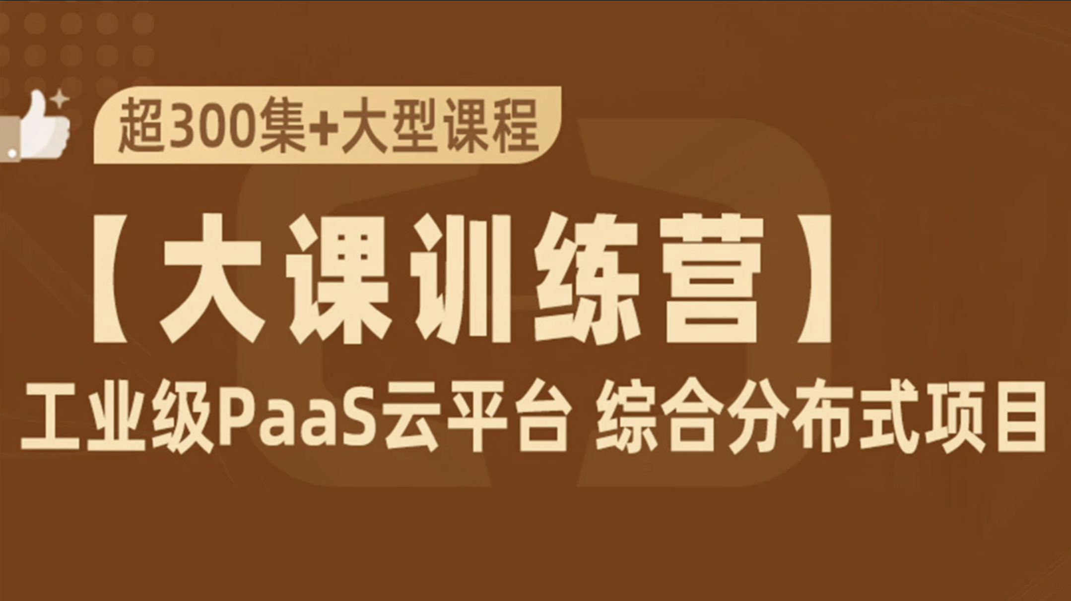 PaaS云平台+SpringCloudAlibaba+JDK11综合项目实战封面图