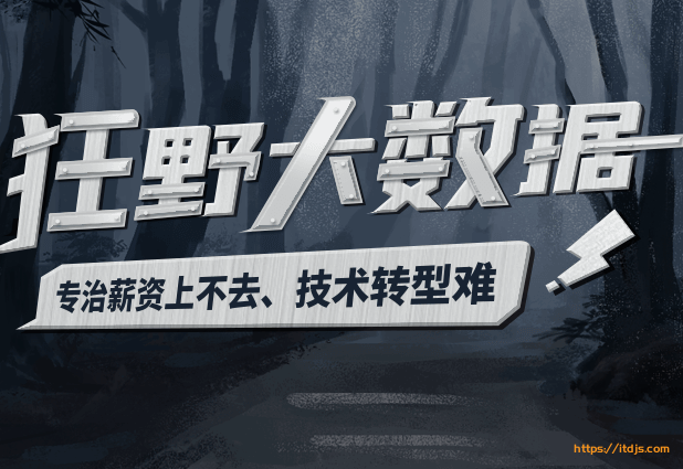 黑马狂野大数据封面