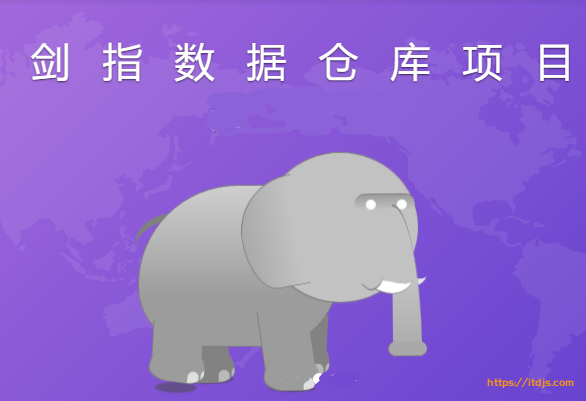 若泽数据剑指数据仓库项目封面