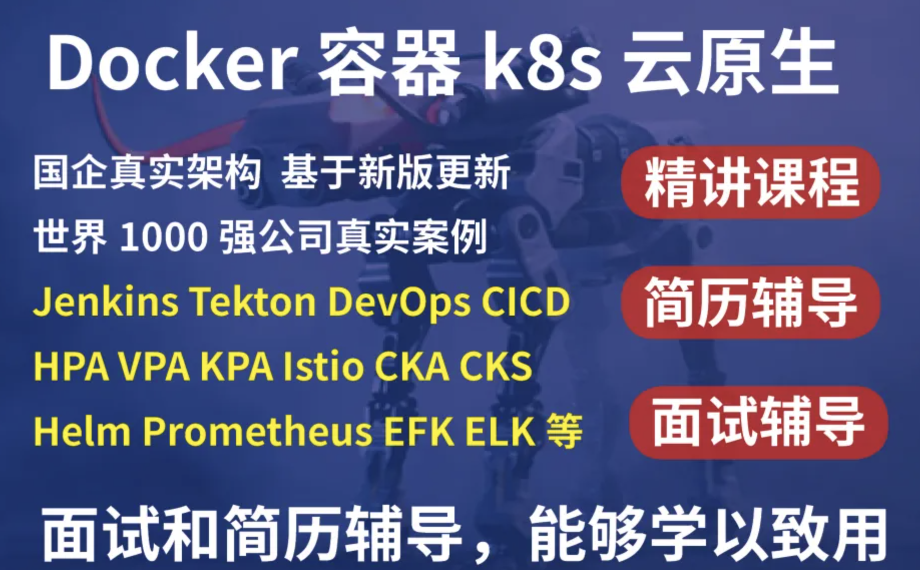 kubernetes/k8s+DevOps云原生全栈技术:基于世界1000强实战课程封面图