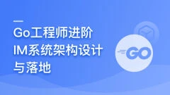 Go进阶IM系统设计与落地,单体到微服务深度剖析
